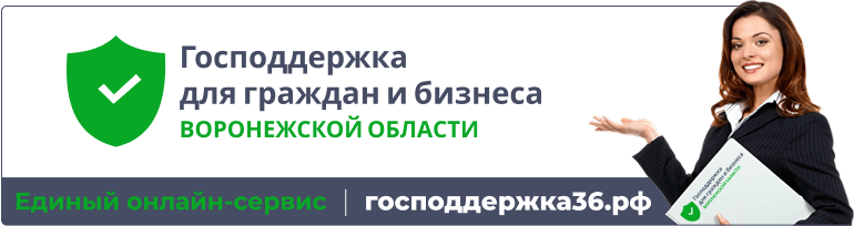 Государственная поддержка бизнеса, граждан и экономики.