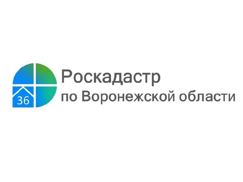 Изменился срок оплаты сведений из реестра недвижимости.